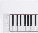 Casio PX770WE Privia 88-Key Digital Piano w Cabinet Stand and Pedals (White) For Cheap