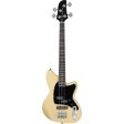 Ibanez TMB30IV Talman Bass - Electric Bass with PJ Pickups - Ivory Sale