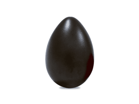 Latin Percussion LP0020BK Large Egg Shaker Fashion